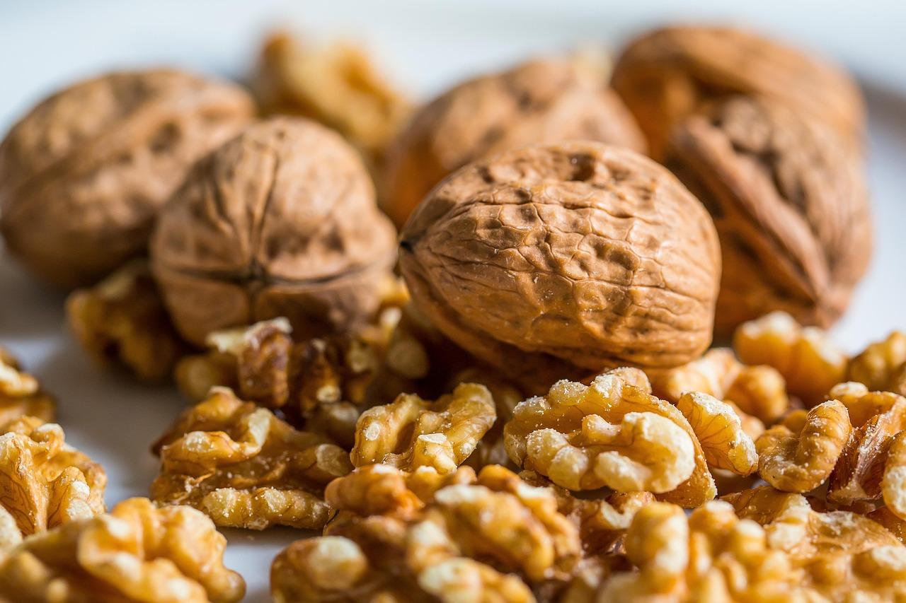 Dry Fruits: Nature’s Power-Packed Gift for Health and Energy